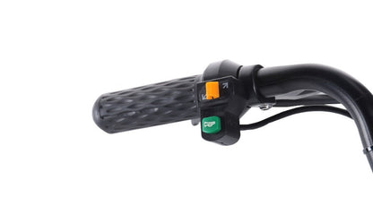 Electric Bike small folding mini battery bike adult walking battery bike